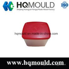 Plastic Injection Tool for Storage Container Commodity Mould